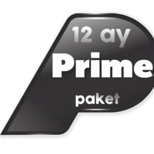 12 aylık iptv
